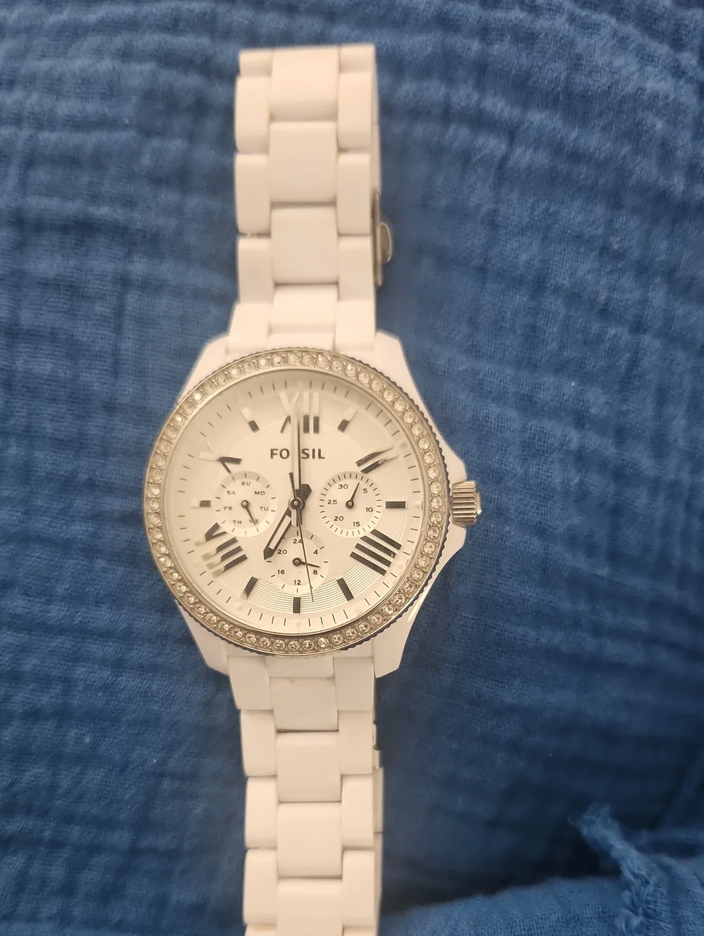 Fossil cecile multifunctional